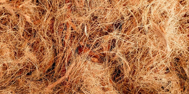 Raw Coir